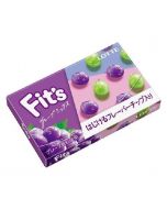  LOTTE Fit's Grape Mix Flavor Chewing Gum 12 pieces