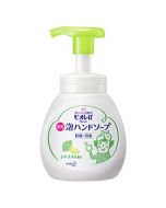 KAO Biore Foaming Hand Soap (Citrus Scent)