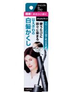 Dariya Salon de Pro Color On Retouch Gray Hair Hide EX Natural Black 15ml