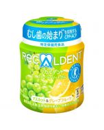 Mondelez Japan RECALDENT Fruit Assorted Gum Muscat & Grapefruit Flavor 140g