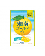 Kaneka Shonan Gold Gummy with Labre Lactic Acid Bacteria 40g